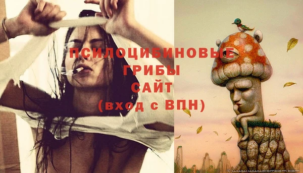 таблы Верхний Тагил